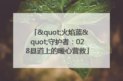 "火焰蓝"守护者：028县道上的暖心营救
