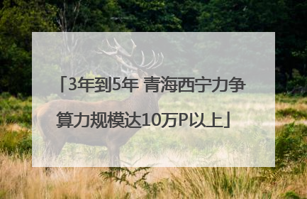 3年到5年 青海西宁力争算力规模达10万P以上
