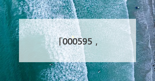 000595，调整后重大资产重组方案公布！