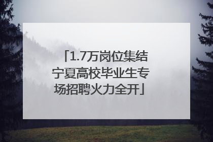 1.7万岗位集结 宁夏高校毕业生专场招聘火力全开