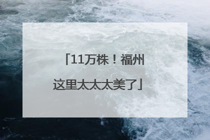 11万株！福州这里太太太美了