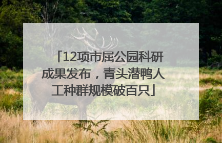 12项市属公园科研成果发布，青头潜鸭人工种群规模破百只