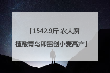 1542.9斤 农大腐植酸青岛即墨创小麦高产