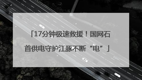 17分钟极速救援！国网石首供电守护江豚不断“电”
