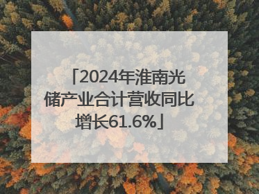2024年淮南光储产业合计营收同比增长61.6%