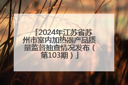 2024年江苏省苏州市室内加热器产品质量监督抽查情况发布（第103期）