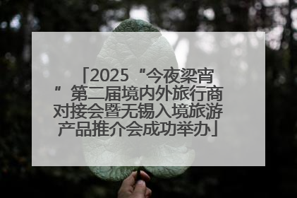 2025“今夜梁宵”第二届境内外旅行商对接会暨无锡入境旅游产品推介会成功举办