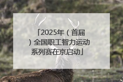 2025年（首届）全国职工智力运动系列赛在京启动