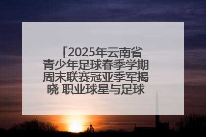 2025年云南省青少年足球春季学期周末联赛冠亚季军揭晓 职业球星与足球小将共享荣耀时刻