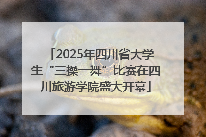 2025年四川省大学生“三操一舞”比赛在四川旅游学院盛大开幕