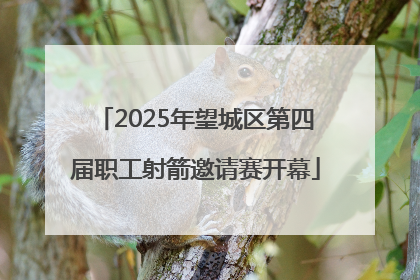 2025年望城区第四届职工射箭邀请赛开幕