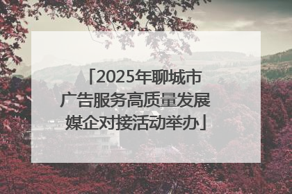 2025年聊城市广告服务高质量发展媒企对接活动举办