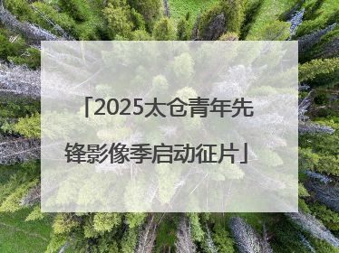 2025太仓青年先锋影像季启动征片
