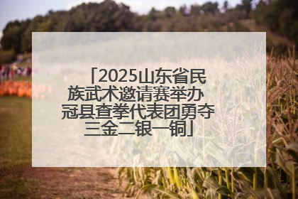 2025山东省民族武术邀请赛举办 冠县查拳代表团勇夺三金二银一铜