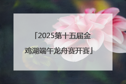 2025第十五届金鸡湖端午龙舟赛开赛