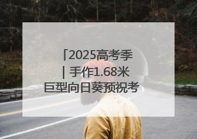 2025高考季｜手作1.68米巨型向日葵预祝考生“一举夺魁”
