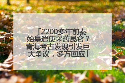 2200多年前秦始皇遣使采药昆仑？青海考古发现引发巨大争议，多方回应