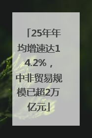 25年年均增速达14.2%，中非贸易规模已超2万亿元