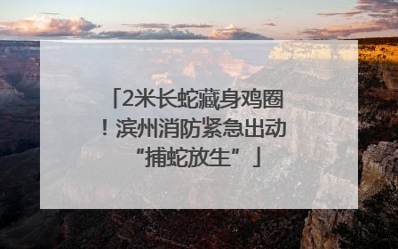 2米长蛇藏身鸡圈！滨州消防紧急出动“捕蛇放生”