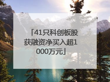 41只科创板股获融资净买入超1000万元