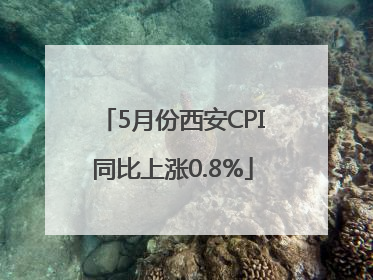 5月份西安CPI同比上涨0.8%