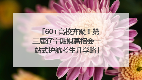 60+高校齐聚！第三届辽宁融媒高招会一站式护航考生升学路