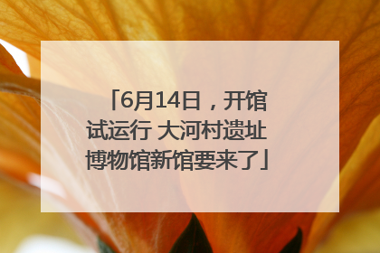 6月14日，开馆试运行 大河村遗址博物馆新馆要来了