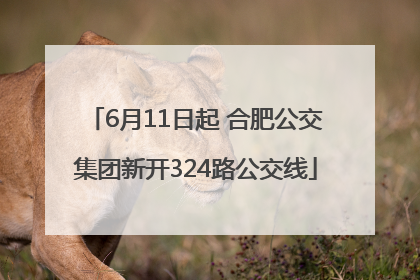 6月11日起 合肥公交集团新开324路公交线