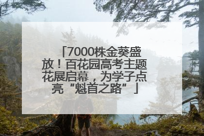 7000株金葵盛放！百花园高考主题花展启幕，为学子点亮“魁首之路”