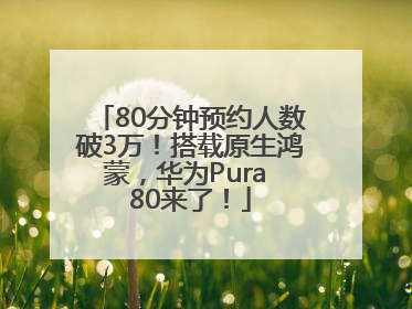 80分钟预约人数破3万！搭载原生鸿蒙，华为Pura 80来了！