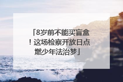 8岁前不能买盲盒！这场检察开放日点燃少年法治梦