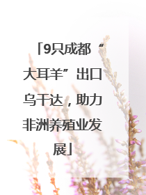 9只成都“大耳羊”出口乌干达，助力非洲养殖业发展