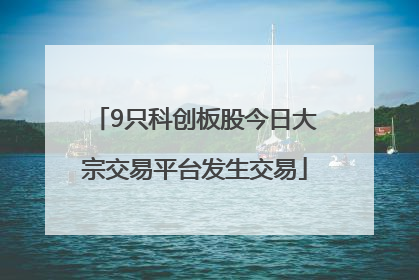 9只科创板股今日大宗交易平台发生交易